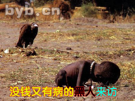 byb.cn byb.cn