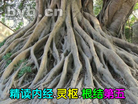 byb.cn 精讀內(nèi)經(jīng).靈樞.根結(jié)第五