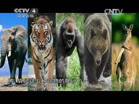 byb.cn byb.cn